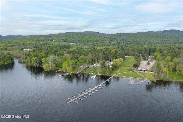 126 Lakeview Ln, Mayfield, NY 12117 - drone / aerial view of a forest and a water and mountain view