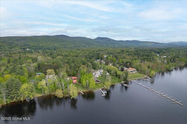 126 Lakeview Ln, Mayfield, NY 12117 - bird's eye view of a forest and a water and mountain view