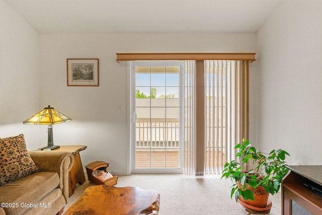 view of carpeted living area