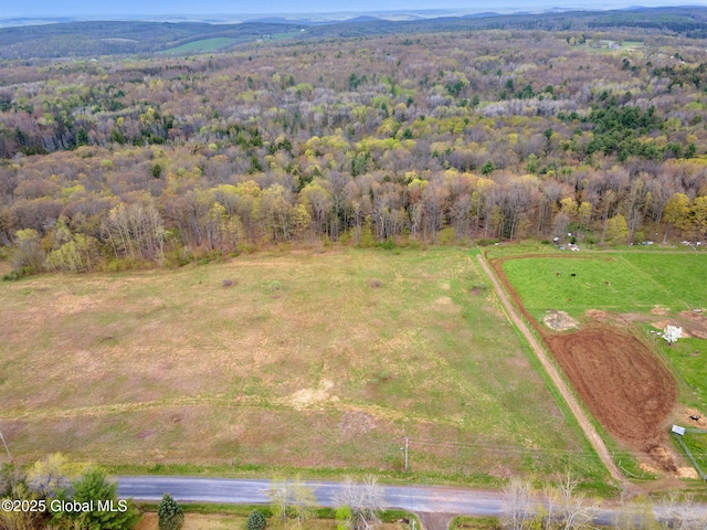 L18 Wylie Horton Rd, Greene, NY 13778