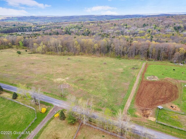 L18 Wylie Horton Rd, Greene, NY 13778