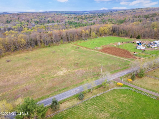L18 Wylie Horton Rd, Greene, NY 13778