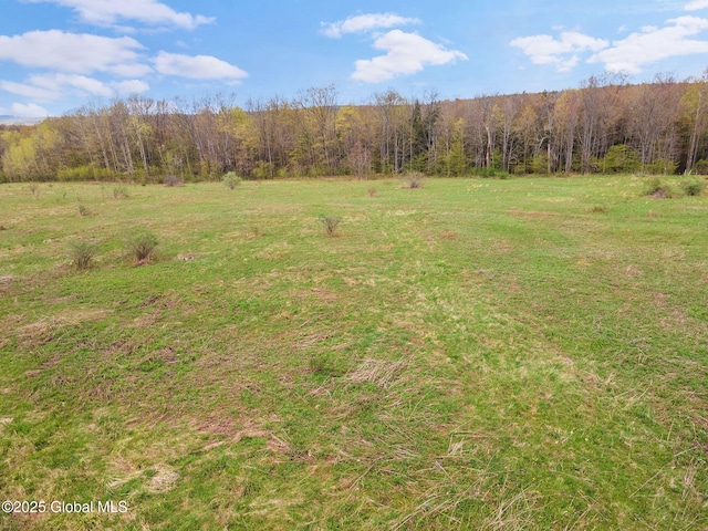 L18 Wylie Horton Rd, Greene, NY 13778
