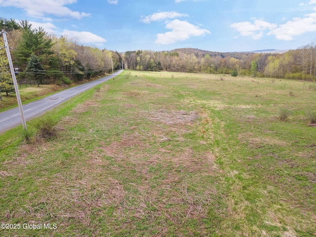 L18 Wylie Horton Rd, Greene, NY 13778