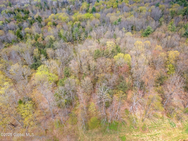 L18 Wylie Horton Rd, Greene, NY 13778