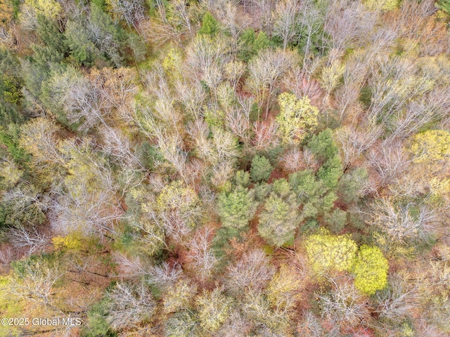 L18 Wylie Horton Rd, Greene, NY 13778
