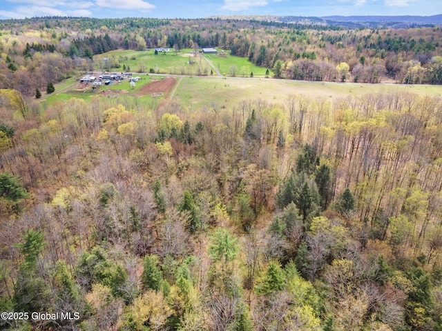 L18 Wylie Horton Rd, Greene, NY 13778
