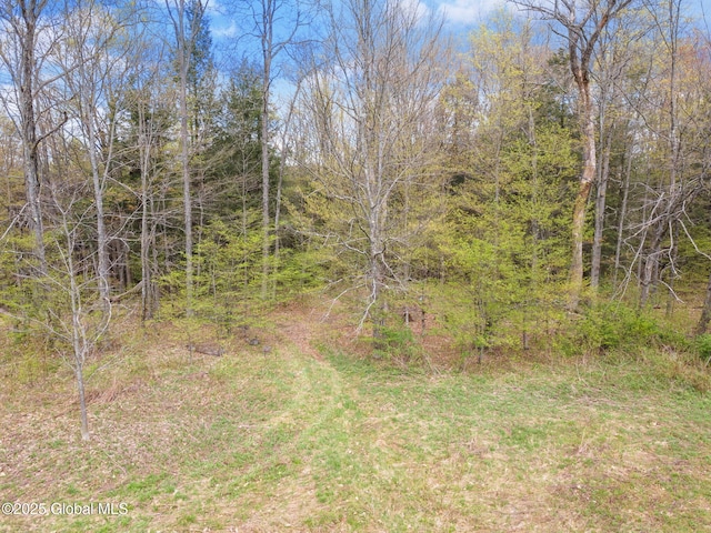 L18 Wylie Horton Rd, Greene, NY 13778
