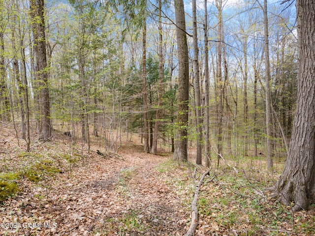L18 Wylie Horton Rd, Greene, NY 13778
