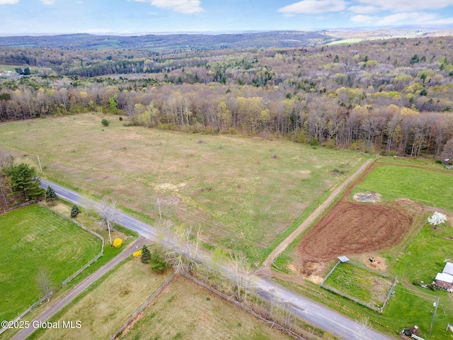 L18 Wylie Horton Rd, Greene, NY 13778
