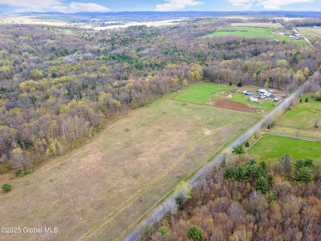 L18 Wylie Horton Rd, Greene, NY 13778