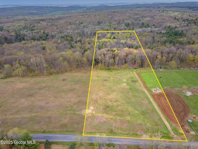 L18 Wylie Horton Rd, Greene, NY 13778