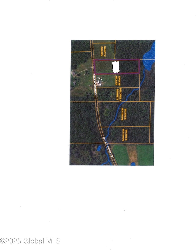 L18 Wylie Horton Rd, Greene, NY 13778
