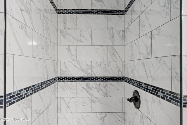 bathroom view of a tile shower