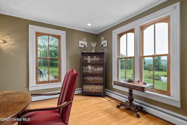 6510 State Route 10, Seward, NY 13459 - office space featuring baseboard heating, crown molding, light wood-style floors, and recessed lighting