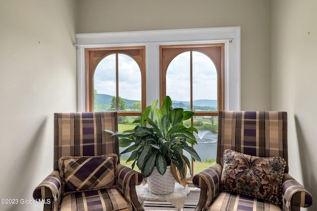 6510 State Route 10, Seward, NY 13459 - living area featuring plenty of natural light and a mountain view