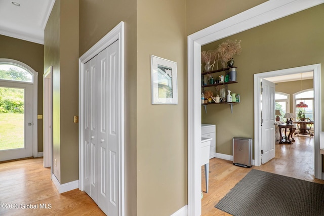 6510 State Route 10, Seward, NY 13459 - hall featuring plenty of natural light, light wood-style flooring, baseboards, and ornamental molding