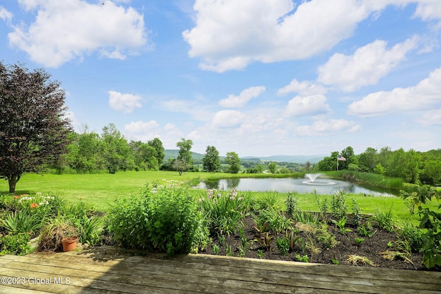 6510 State Route 10, Seward, NY 13459 - view of grassy yard with a water view
