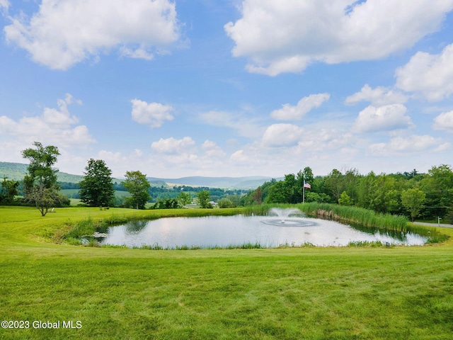 6510 State Route 10, Seward, NY 13459 - water view