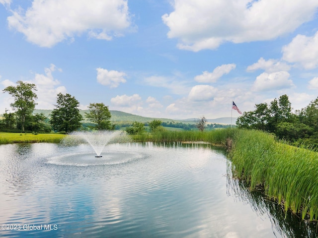 6510 State Route 10, Seward, NY 13459 - water view