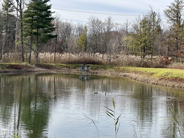 51 Vettura Ct, Malta, NY 12020 - photo 4