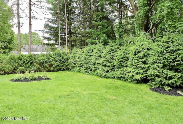 5 Moon Dr, Saratoga Springs, Inside, NY 12866 - view of grassy yard