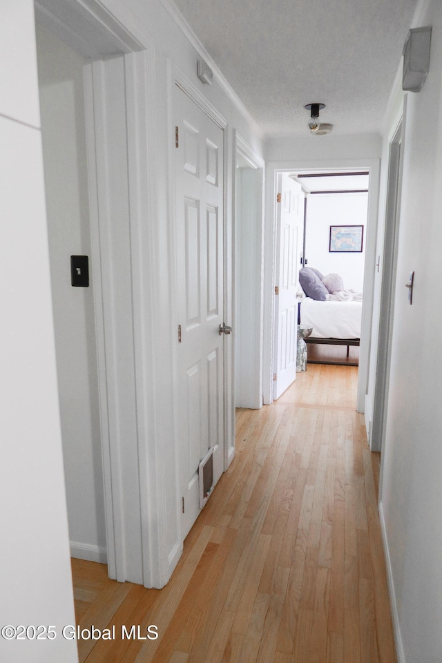 5 Moon Dr, Saratoga Springs, Inside, NY 12866 - hall featuring light wood-style flooring and ornamental molding