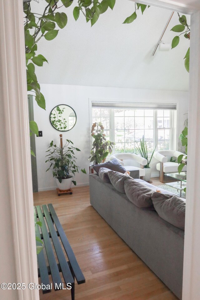 5 Moon Dr, Saratoga Springs, Inside, NY 12866 - living area featuring track lighting, wood finished floors, vaulted ceiling, and baseboards