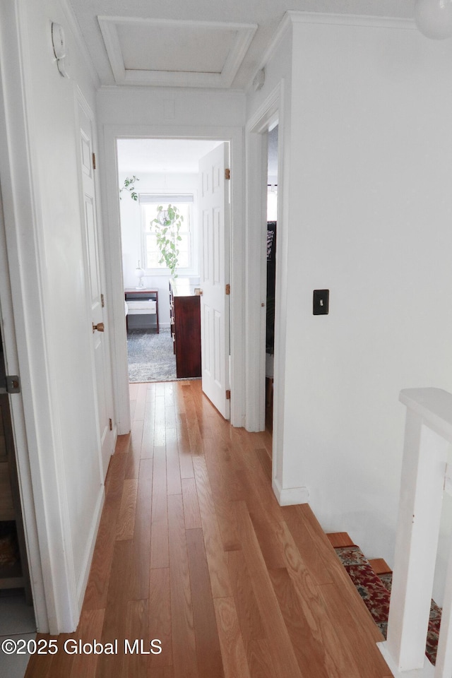 5 Moon Dr, Saratoga Springs, Inside, NY 12866 - hallway featuring light wood finished floors, attic access, and baseboards