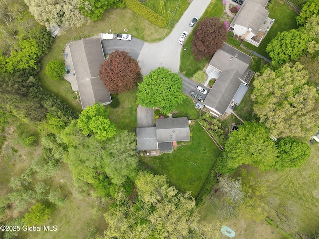 5 Moon Dr, Saratoga Springs, Inside, NY 12866 - drone / aerial view
