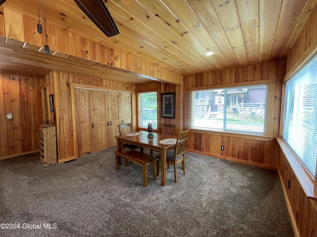 166 Finkle Rd, Bolton, NY 12814 - dining room featuring wooden walls, wood ceiling, carpet floors, and baseboards
