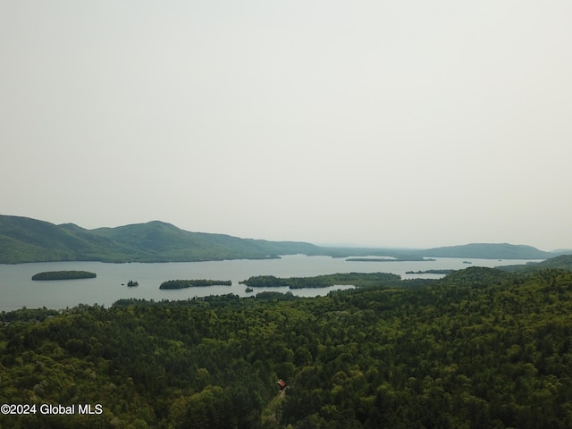 166 Finkle Rd, Bolton, NY 12814 - view of mountain background with a heavily wooded area and a nearby body of water