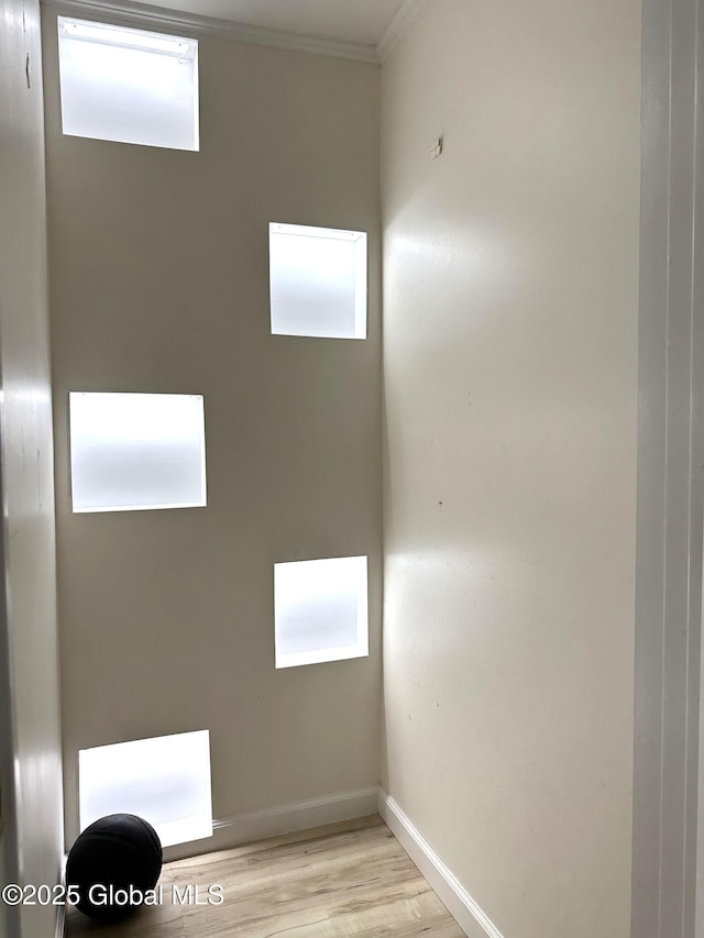 111 Rose St, Delanson, NY 12053 - empty room featuring ornamental molding, light wood finished floors, and baseboards
