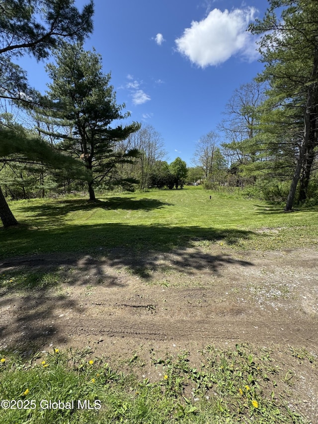 683 Birchwood Dr, Princetown, NY 12056