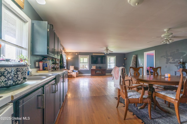 177 County Highway 155, Mayfield, NY 12025 - dining space featuring a ceiling fan, light wood-type flooring, and a baseboard heating unit