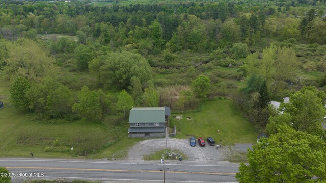 177 County Highway 155, Mayfield, NY 12025 - bird's eye view of a forest
