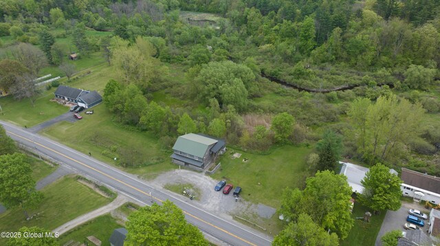 177 County Highway 155, Mayfield, NY 12025 - aerial view of property's location with a forest