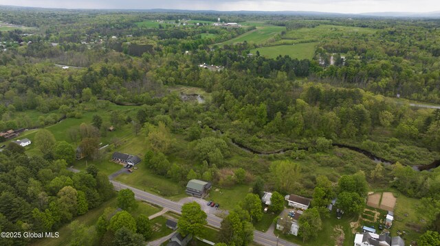 177 County Highway 155, Mayfield, NY 12025 - aerial overview of property's location with a forest