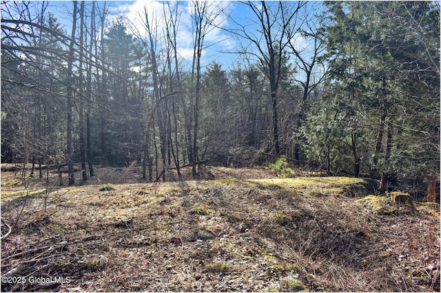 L9 New Hague Rd, Hague, NY 12836 - photo 10