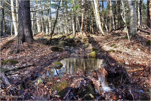 L9 New Hague Rd, Hague, NY 12836 - photo 27