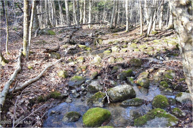 L9 New Hague Rd, Hague, NY 12836 - photo 32