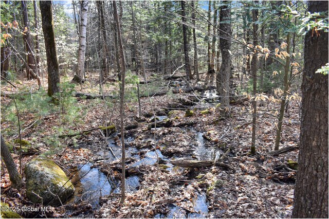 L9 New Hague Rd, Hague, NY 12836 - photo 28