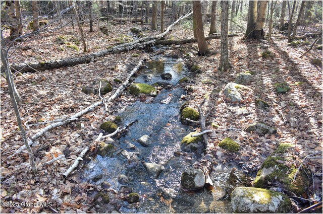 L9 New Hague Rd, Hague, NY 12836 - photo 37