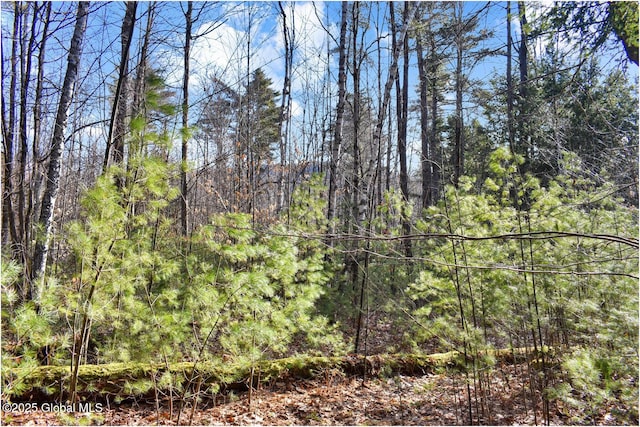 L9 New Hague Rd, Hague, NY 12836 - photo 11