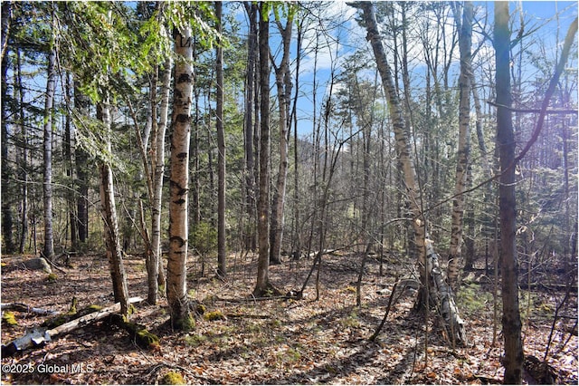 L9 New Hague Rd, Hague, NY 12836 - photo 3
