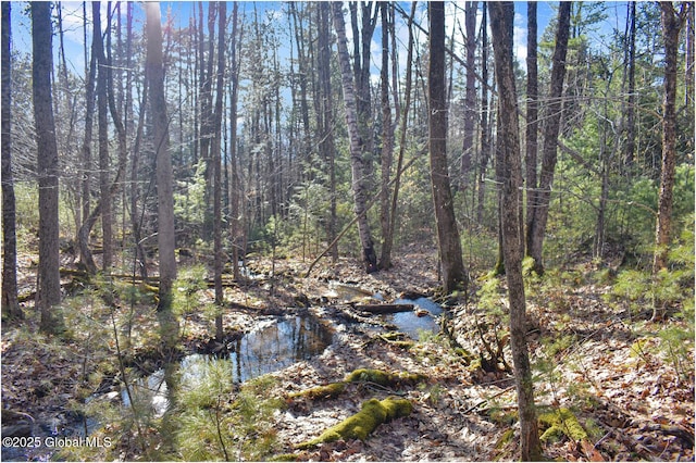 L9 New Hague Rd, Hague, NY 12836 - photo 19