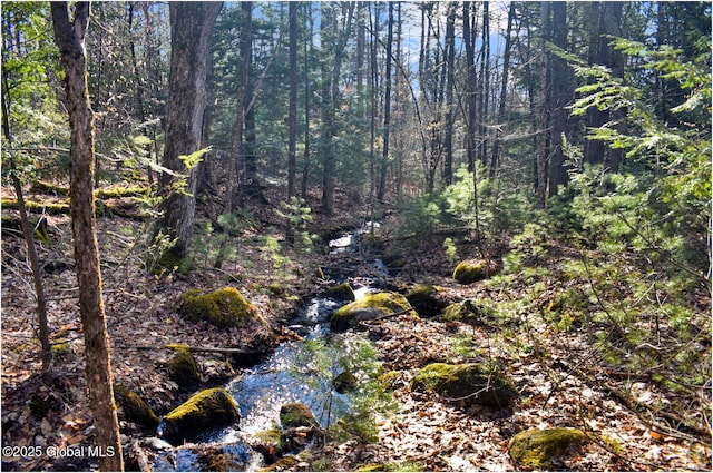 L9 New Hague Rd, Hague, NY 12836 - photo 2