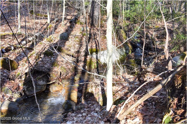 L9 New Hague Rd, Hague, NY 12836 - photo 39