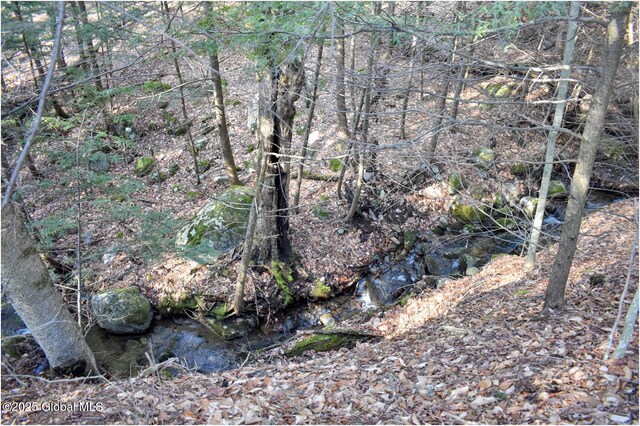 L9 New Hague Rd, Hague, NY 12836 - photo 29