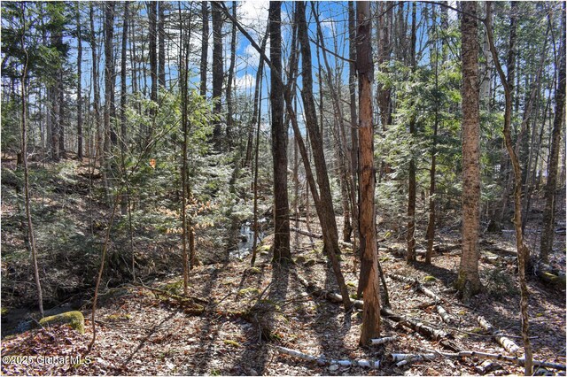 L9 New Hague Rd, Hague, NY 12836 - photo 17